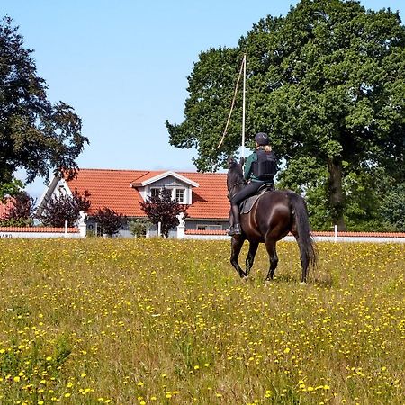 Mollegade 1 Holiday House Nordborg Esterno foto