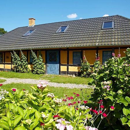 Mollegade 1 Holiday House Nordborg Esterno foto