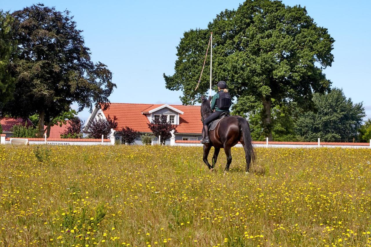 Mollegade 1 Holiday House Nordborg Esterno foto